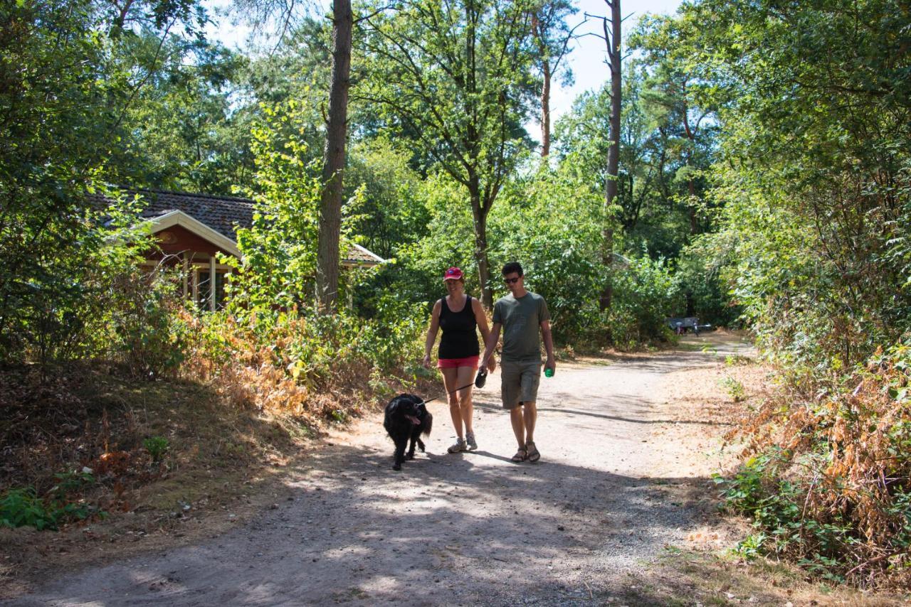 Europarcs De Wiltzangh Ruinen Exterior foto